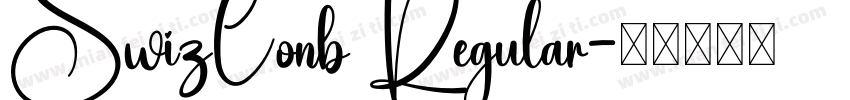 SwizConb Regular字体转换